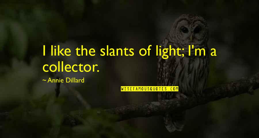 Lucy Macdonald Quotes By Annie Dillard: I like the slants of light; I'm a