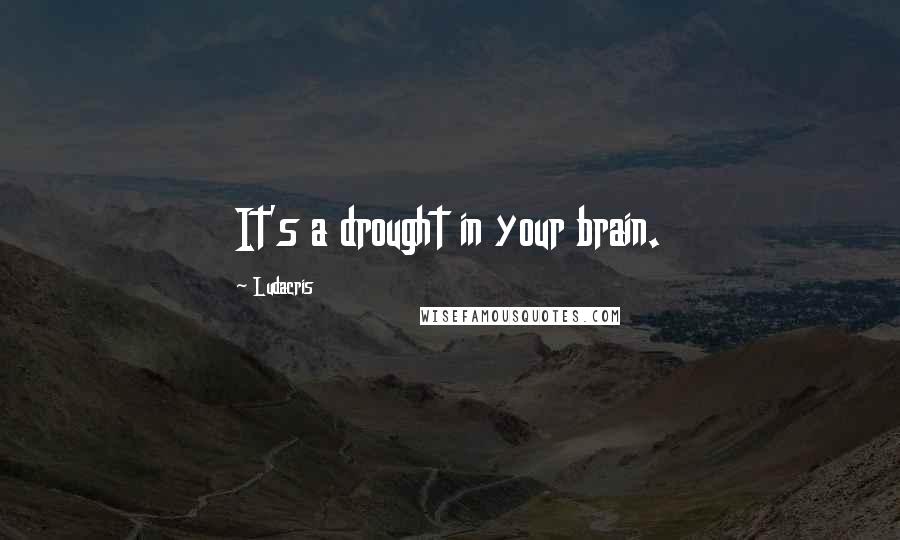 Ludacris quotes: It's a drought in your brain.