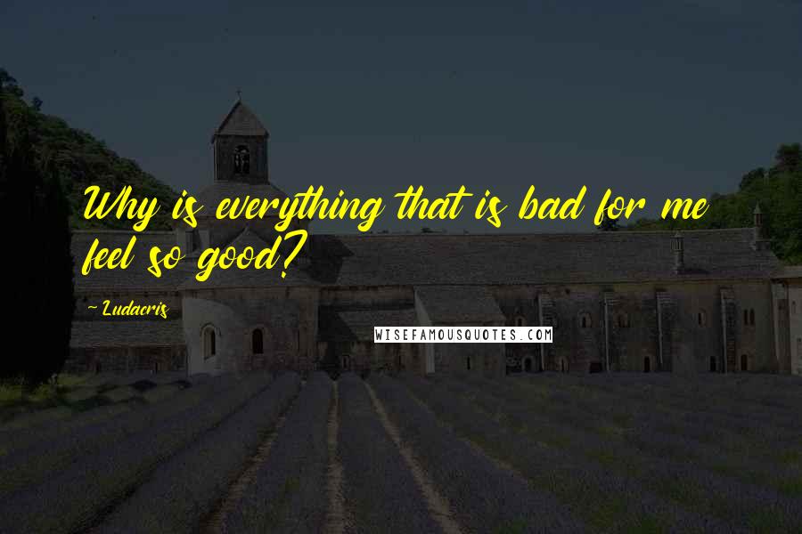 Ludacris quotes: Why is everything that is bad for me feel so good?