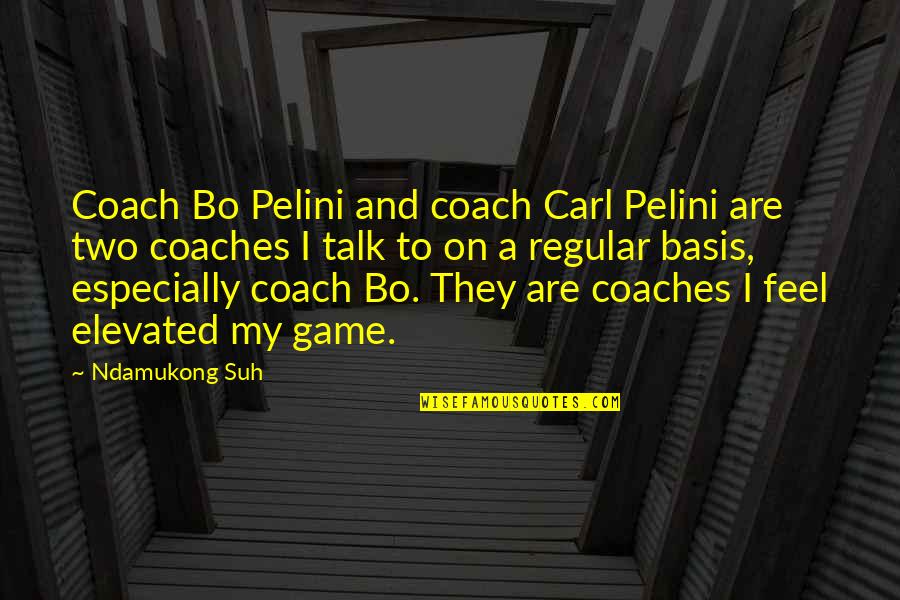 Ludo Star Quotes By Ndamukong Suh: Coach Bo Pelini and coach Carl Pelini are