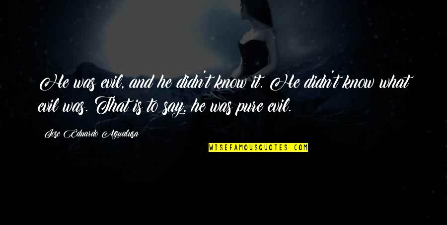 Ludosti U Quotes By Jose Eduardo Agualusa: He was evil, and he didn't know it. Ludosti U Quotes By Jose Eduardo Agualusa: He was evil, and he didn't know it.