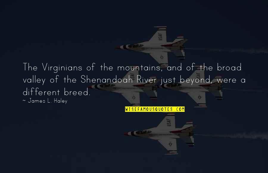 Ludwig Lichtenstein Quotes By James L. Haley: The Virginians of the mountains, and of the