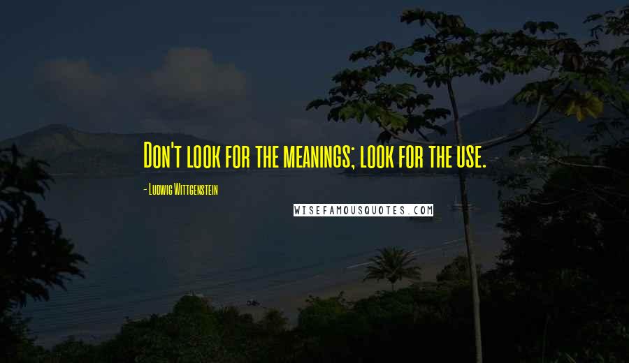 Ludwig Wittgenstein quotes: Don't look for the meanings; look for the use.