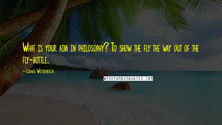 Ludwig Wittgenstein quotes: What is your aim in philosophy? To show the fly the way out of the fly-bottle.