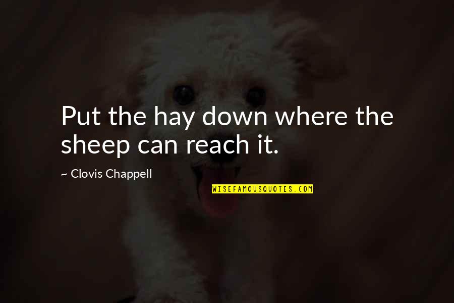 Lugging Something Quotes By Clovis Chappell: Put the hay down where the sheep can