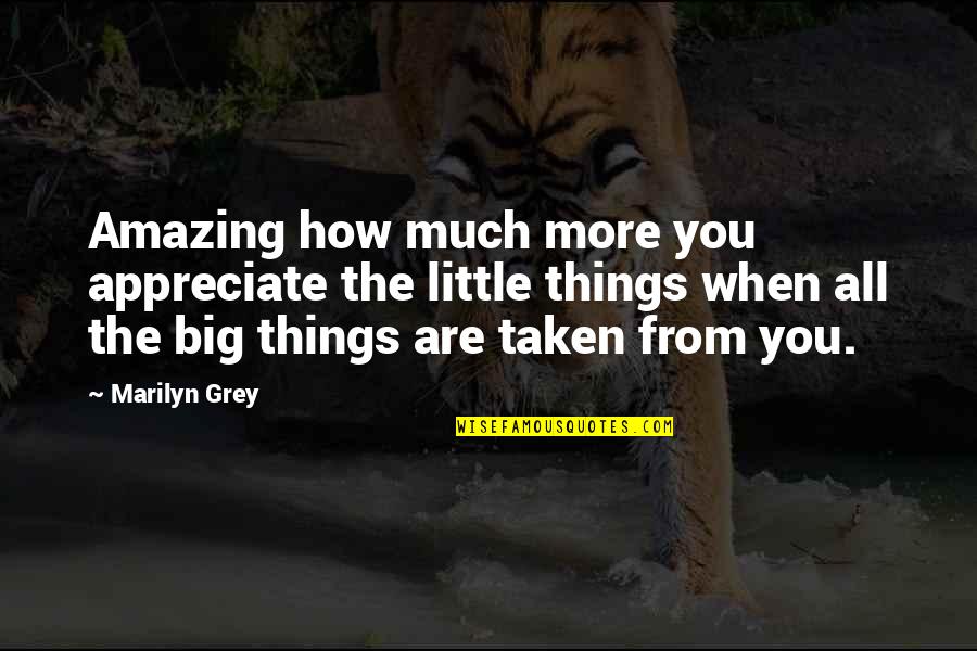 Luhmann Dds Quotes By Marilyn Grey: Amazing how much more you appreciate the little Luhmann Dds Quotes By Marilyn Grey: Amazing how much more you appreciate the little