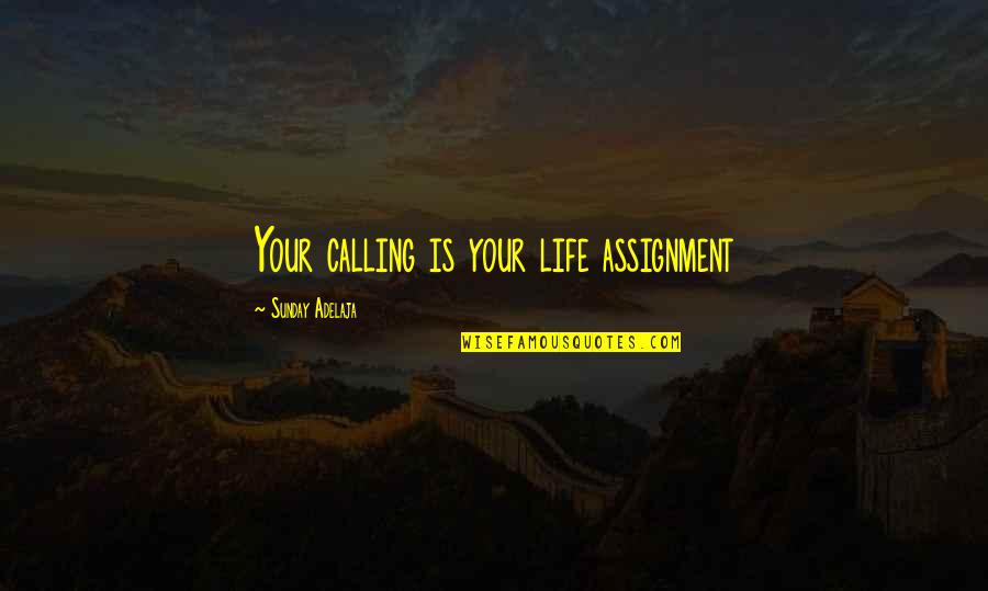 Luho Quotes By Sunday Adelaja: Your calling is your life assignment
