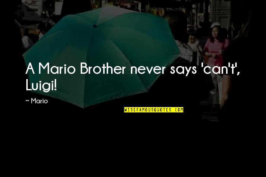 Luigi And Mario Quotes By Mario: A Mario Brother never says 'can't', Luigi!