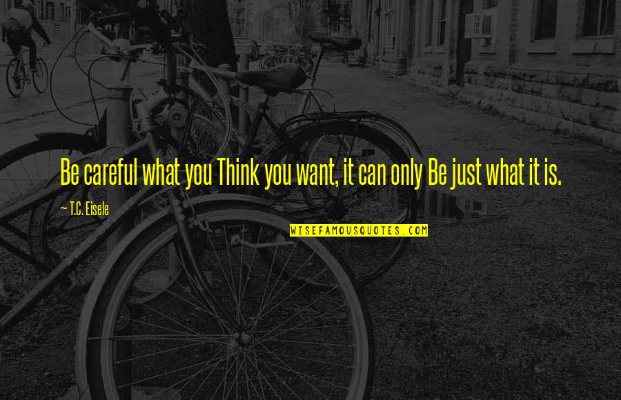 Luigi Ghirri Quotes By T.C. Eisele: Be careful what you Think you want, it