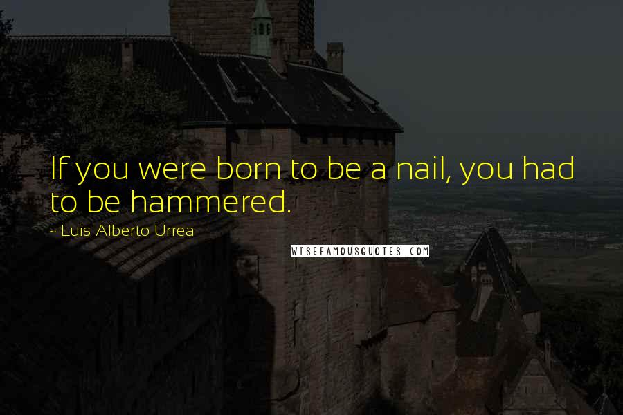 Luis Alberto Urrea quotes: If you were born to be a nail, you had to be hammered.