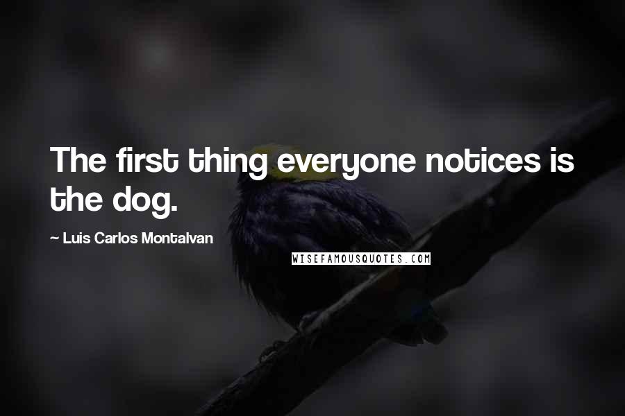 Luis Carlos Montalvan quotes: The first thing everyone notices is the dog.