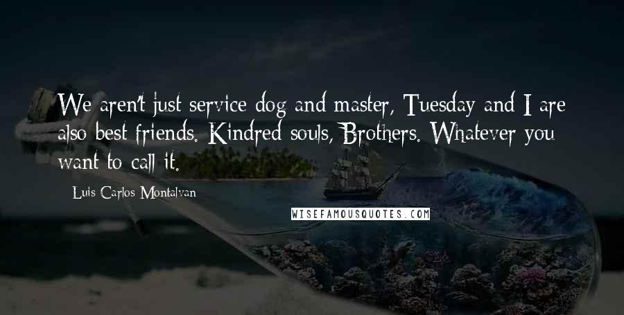 Luis Carlos Montalvan quotes: We aren't just service dog and master, Tuesday and I are also best friends. Kindred souls, Brothers. Whatever you want to call it.