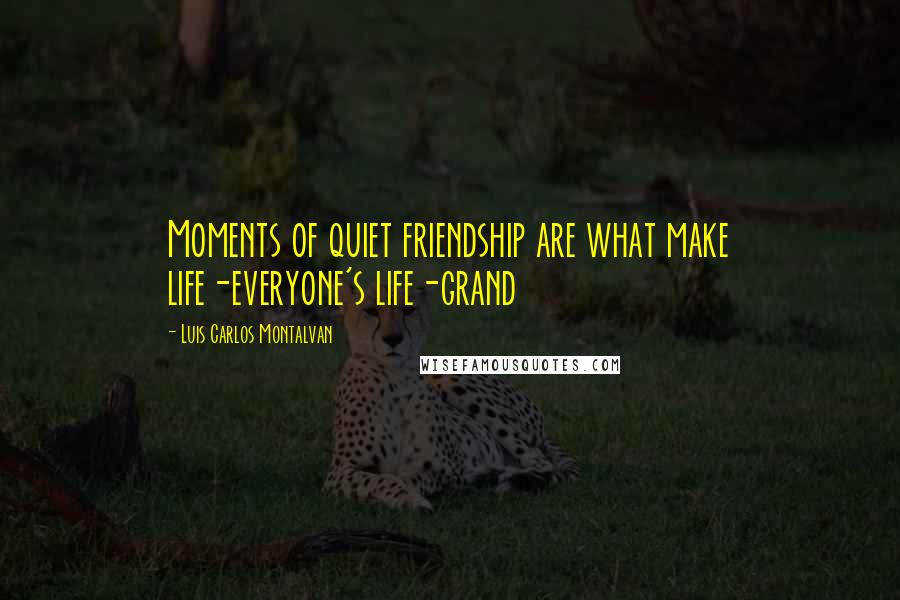 Luis Carlos Montalvan quotes: Moments of quiet friendship are what make life-everyone's life-grand