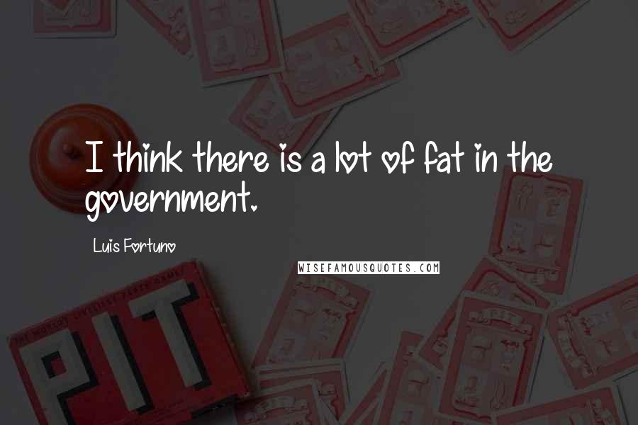 Luis Fortuno quotes: I think there is a lot of fat in the government.