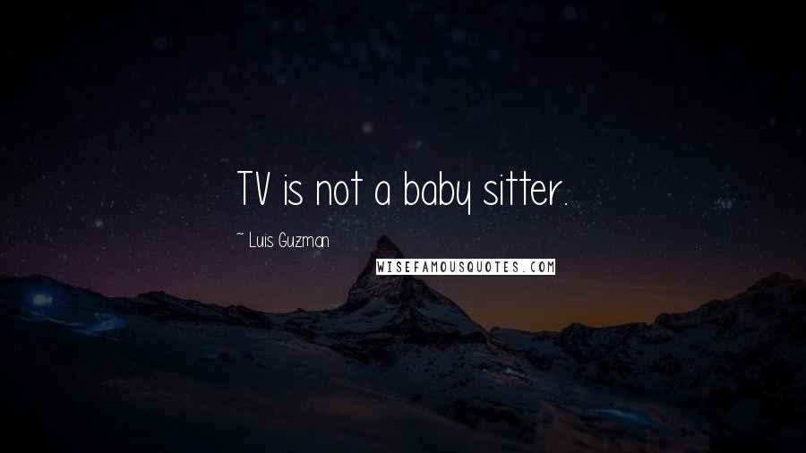 Luis Guzman quotes: TV is not a baby sitter.