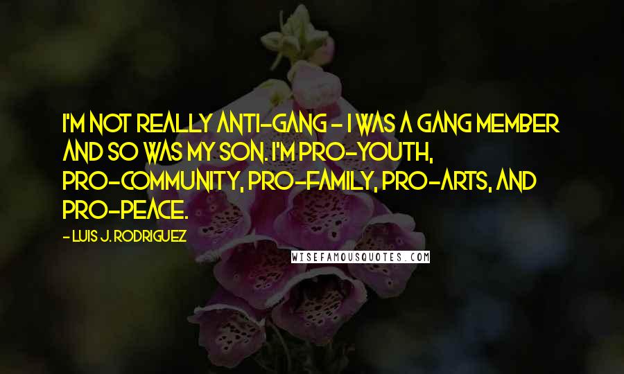 Luis J. Rodriguez quotes: I'm not really anti-gang - I was a gang member and so was my son. I'm pro-youth, pro-community, pro-family, pro-arts, and pro-peace.