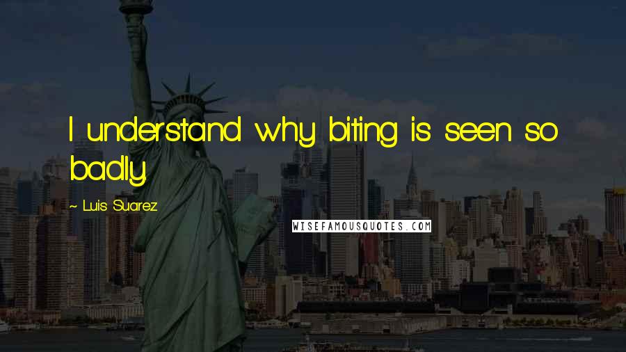 Luis Suarez quotes: I understand why biting is seen so badly.