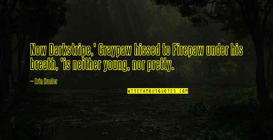 Luisella Catinelli Quotes By Erin Hunter: Now Darkstripe,' Graypaw hissed to Firepaw under his Luisella Catinelli Quotes By Erin Hunter: Now Darkstripe,' Graypaw hissed to Firepaw under his