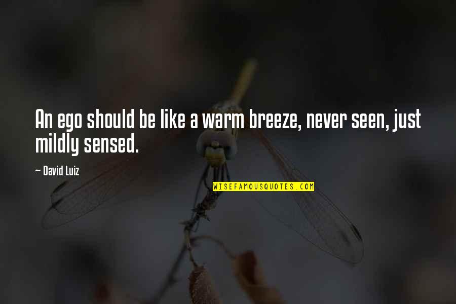 Luiz Quotes By David Luiz: An ego should be like a warm breeze,