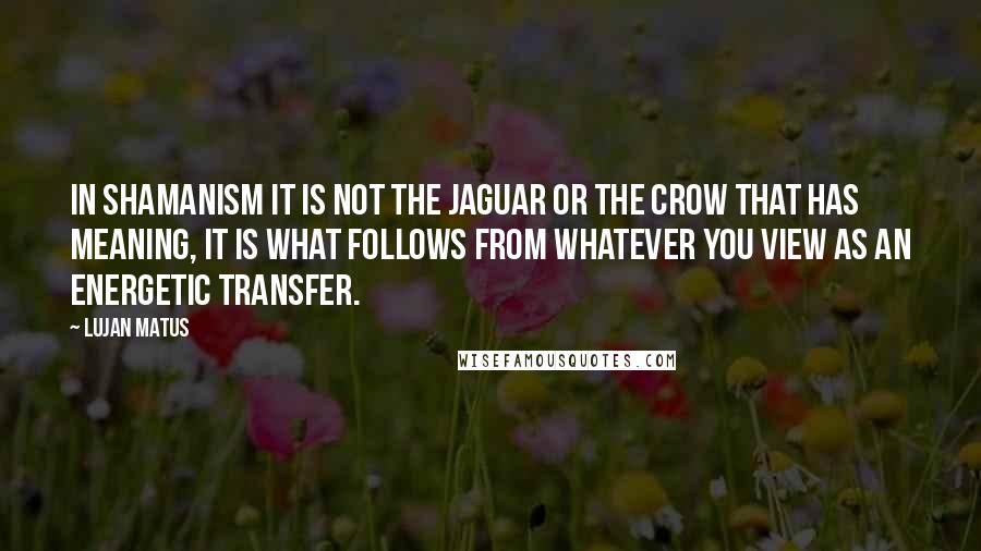 Lujan Matus quotes: In shamanism it is not the jaguar or the crow that has meaning, it is what follows from whatever you view as an energetic transfer. Lujan Matus quotes: In shamanism it is not the jaguar or the crow that has meaning, it is what follows from whatever you view as an energetic transfer.