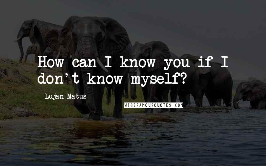 Lujan Matus quotes: How can I know you if I don't know myself?