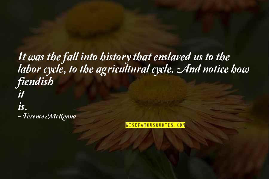 Luke Dunphy Cops Quotes By Terence McKenna: It was the fall into history that enslaved Luke Dunphy Cops Quotes By Terence McKenna: It was the fall into history that enslaved