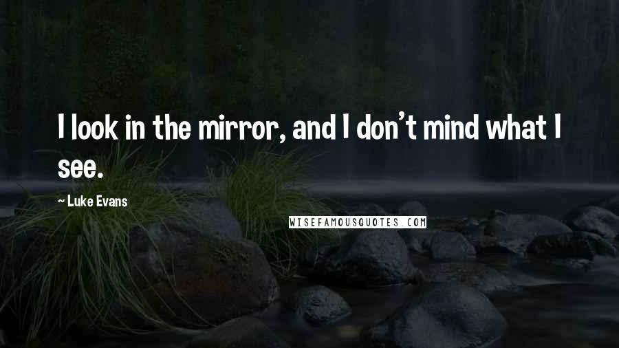 Luke Evans quotes: I look in the mirror, and I don't mind what I see. Luke Evans quotes: I look in the mirror, and I don't mind what I see.