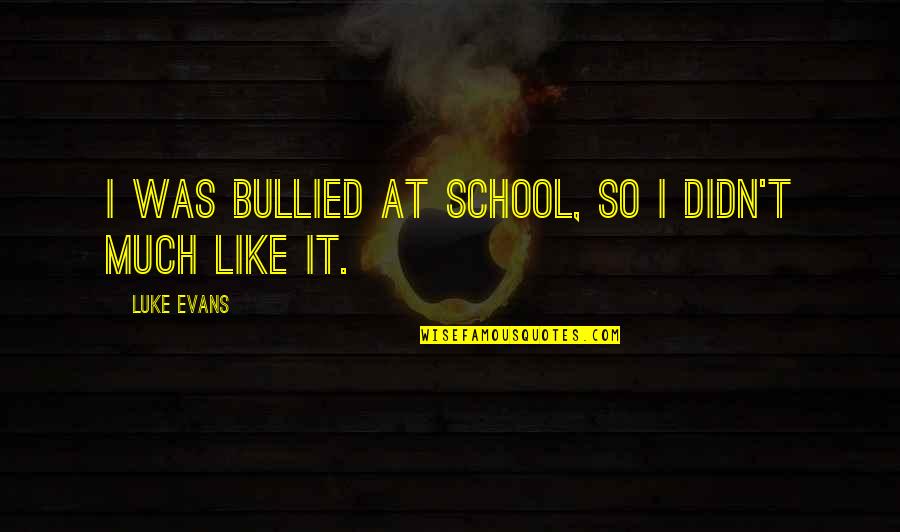 Luke Evans Quotes By Luke Evans: I was bullied at school, so I didn't Luke Evans Quotes By Luke Evans: I was bullied at school, so I didn't