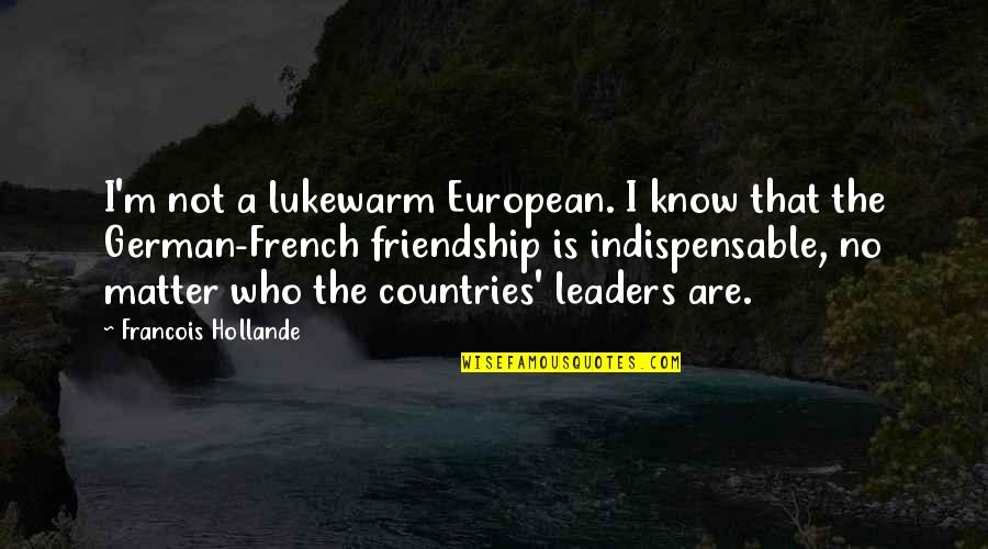 Lukewarm Quotes By Francois Hollande: I'm not a lukewarm European. I know that