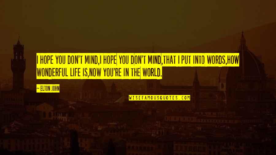 Luljeta Pula Quotes By Elton John: I hope you don't mind,I hope you don't Luljeta Pula Quotes By Elton John: I hope you don't mind,I hope you don't