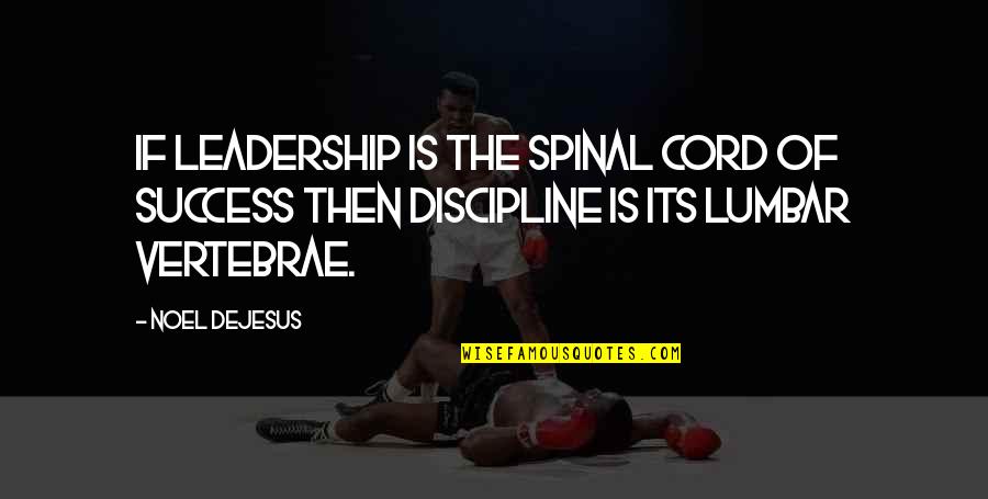 Lumbar Quotes By Noel DeJesus: If leadership is the spinal cord of success