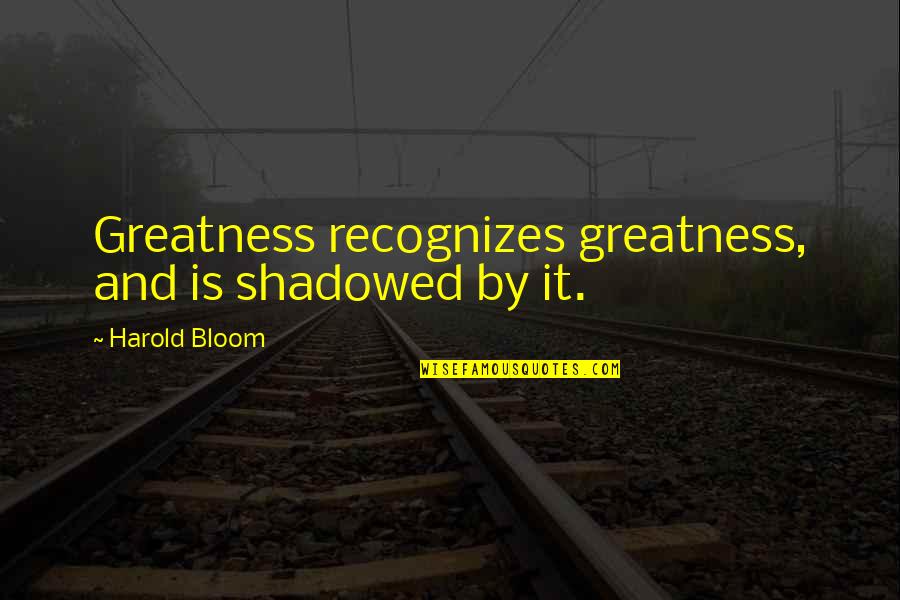 Lumberger Office Quotes By Harold Bloom: Greatness recognizes greatness, and is shadowed by it. Lumberger Office Quotes By Harold Bloom: Greatness recognizes greatness, and is shadowed by it.