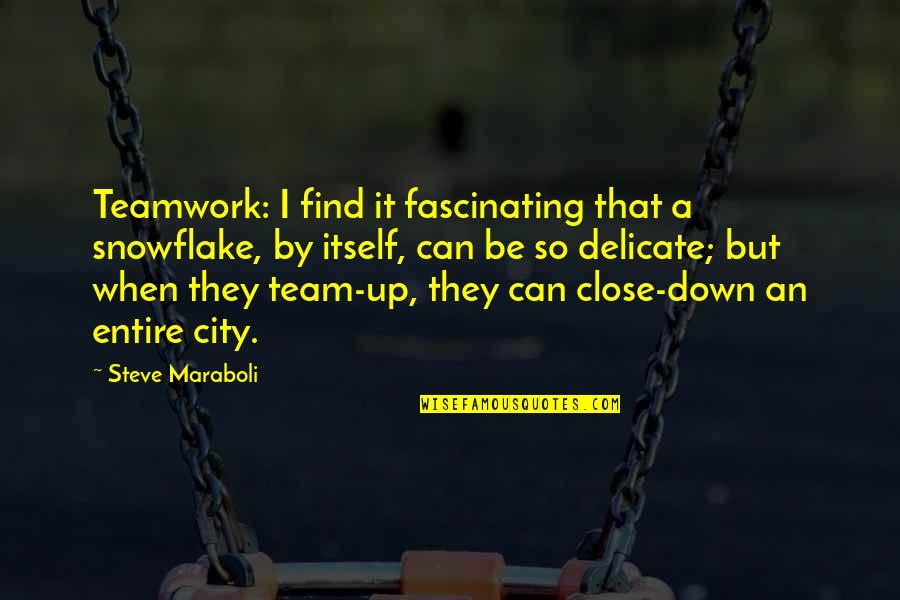 Lumbersexual Quotes By Steve Maraboli: Teamwork: I find it fascinating that a snowflake,