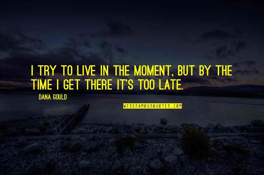 Lumbra Risk Quotes By Dana Gould: I try to live in the moment, but