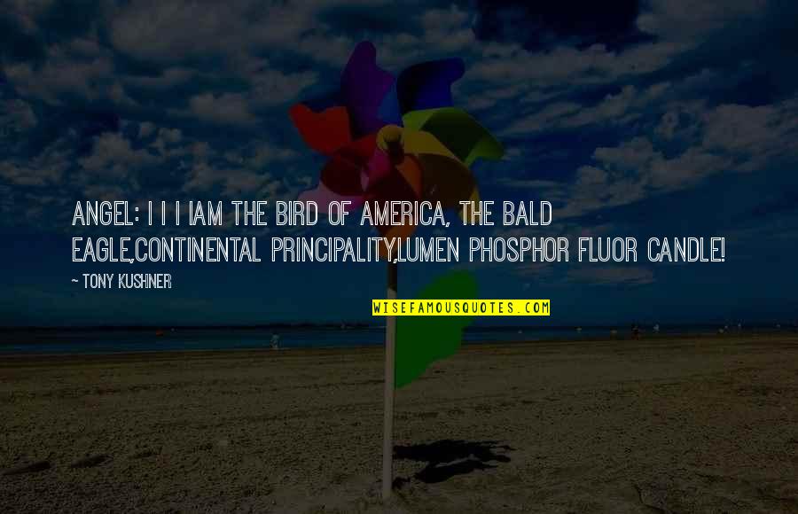 Lumen Quotes By Tony Kushner: ANGEL: I I I IAm the Bird of