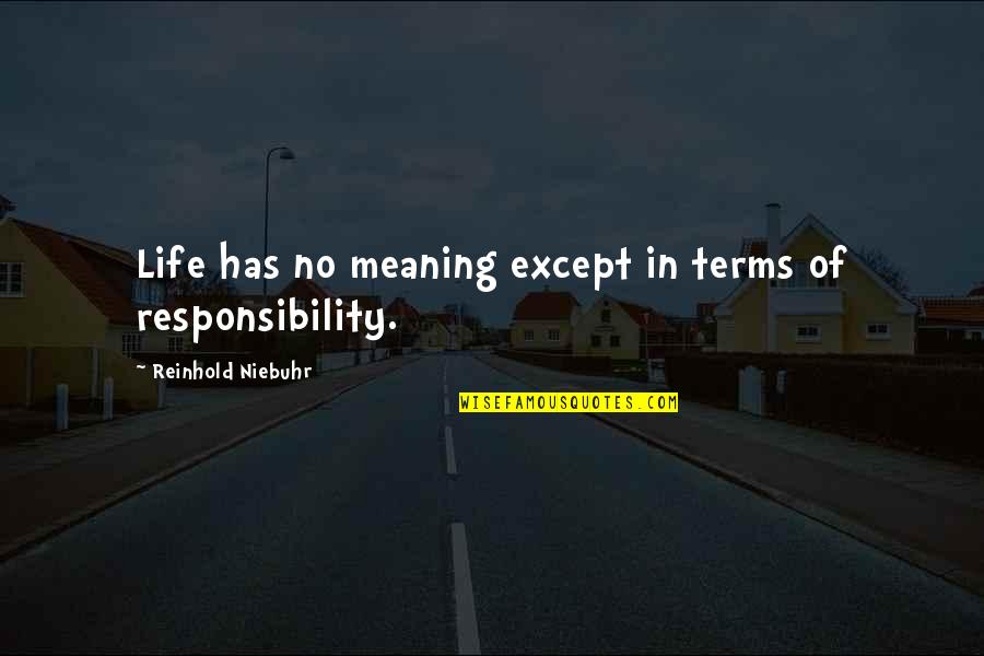 Lumidose Quotes By Reinhold Niebuhr: Life has no meaning except in terms of