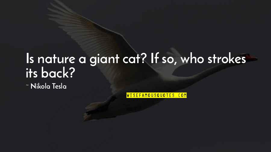 Luminati Quotes By Nikola Tesla: Is nature a giant cat? If so, who