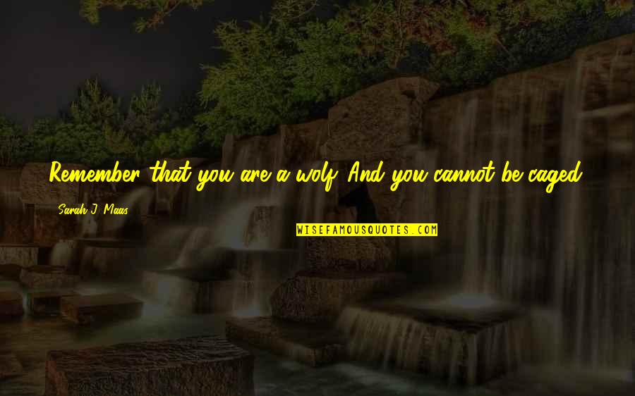 Luminoso Blush Quotes By Sarah J. Maas: Remember that you are a wolf. And you Luminoso Blush Quotes By Sarah J. Maas: Remember that you are a wolf. And you