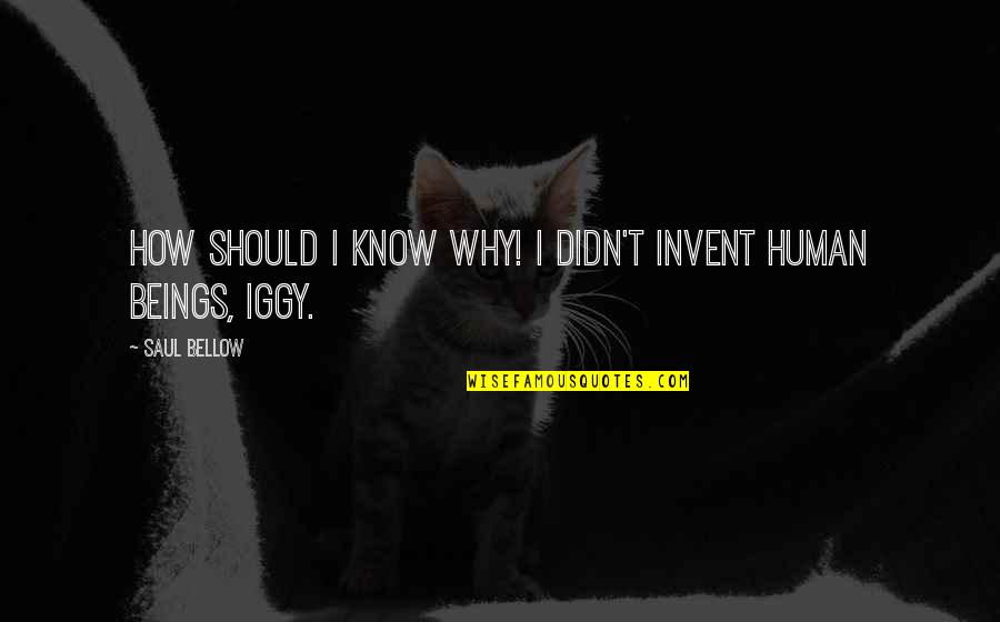 Lumpini Stadium Quotes By Saul Bellow: How should I know why! I didn't invent