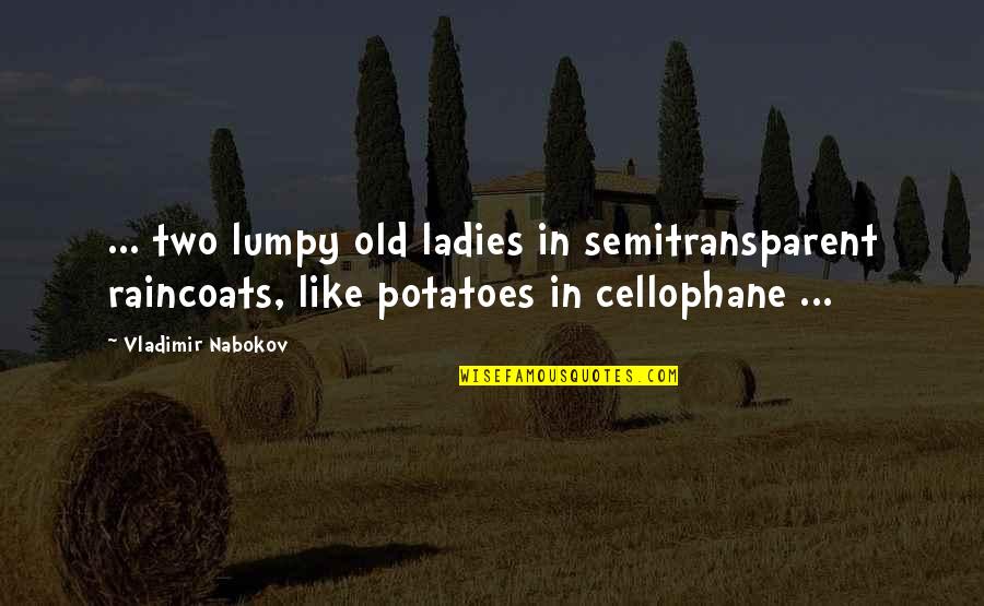 Lumpy Quotes By Vladimir Nabokov: ... two lumpy old ladies in semitransparent raincoats,
