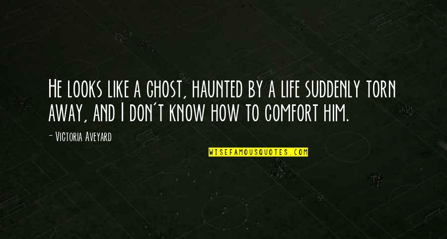 Lundens Wolds Quotes By Victoria Aveyard: He looks like a ghost, haunted by a