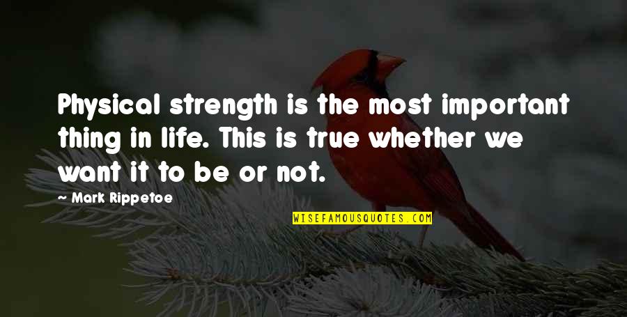 Lungauer Zeltverleih Quotes By Mark Rippetoe: Physical strength is the most important thing in Lungauer Zeltverleih Quotes By Mark Rippetoe: Physical strength is the most important thing in