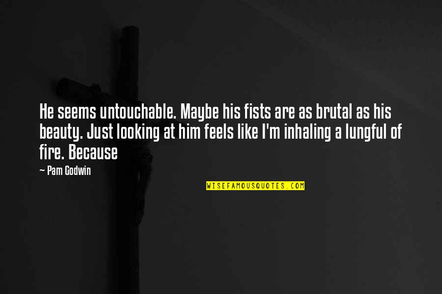 Lungful Quotes By Pam Godwin: He seems untouchable. Maybe his fists are as Lungful Quotes By Pam Godwin: He seems untouchable. Maybe his fists are as
