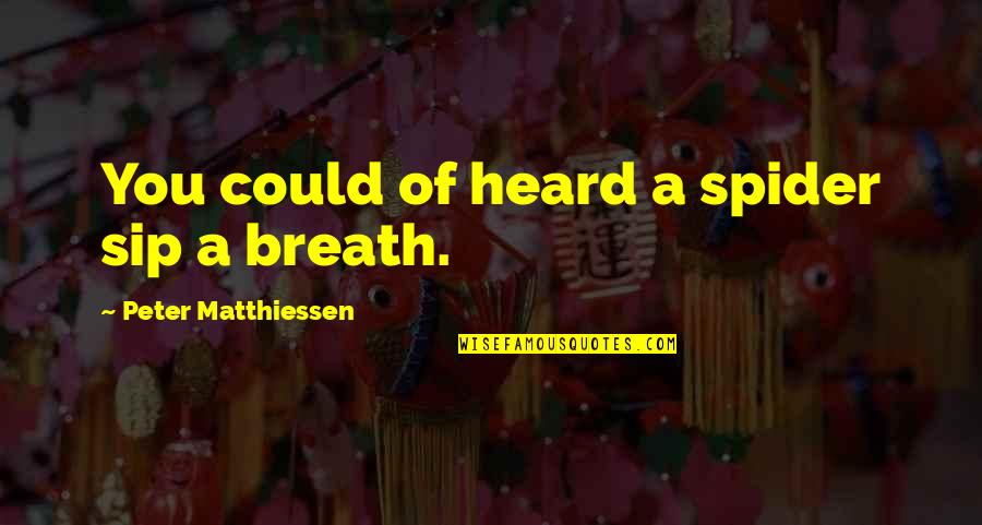 Lunice Popcorn Quotes By Peter Matthiessen: You could of heard a spider sip a Lunice Popcorn Quotes By Peter Matthiessen: You could of heard a spider sip a