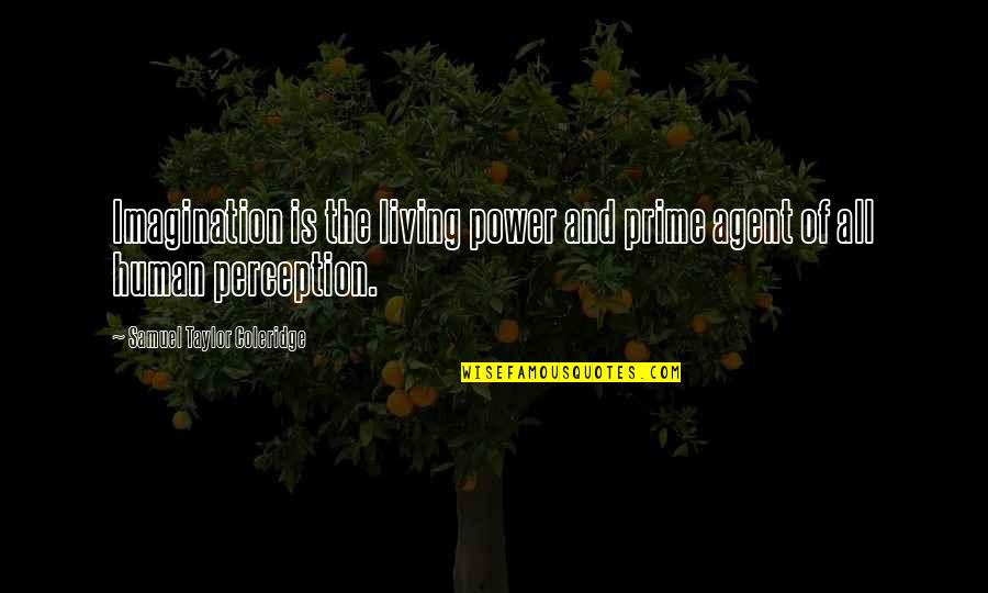 Lunii Transparent Quotes By Samuel Taylor Coleridge: Imagination is the living power and prime agent Lunii Transparent Quotes By Samuel Taylor Coleridge: Imagination is the living power and prime agent
