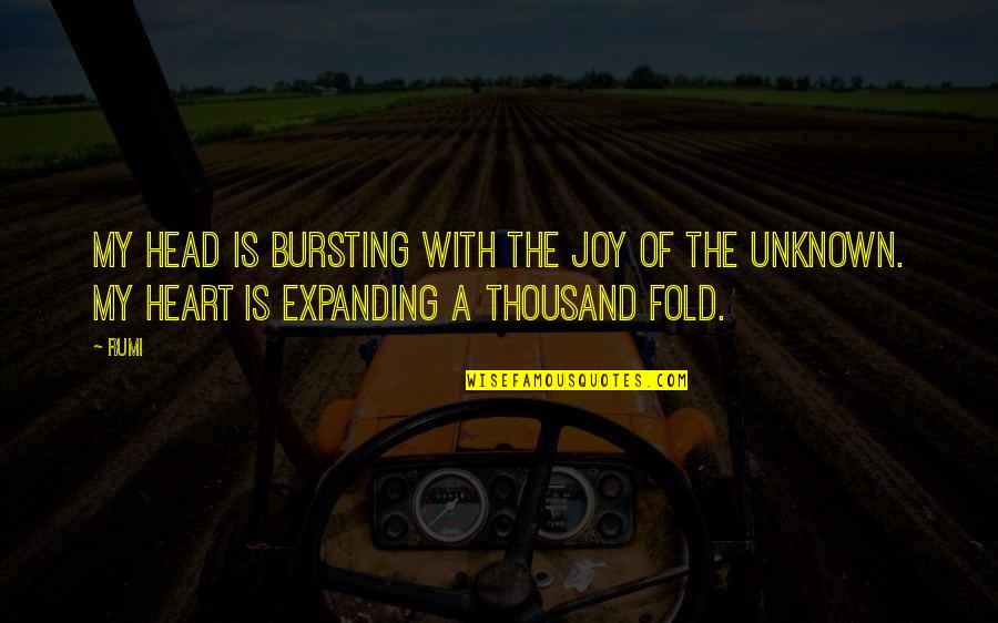 Lunkhead Movie Quotes By Rumi: My head is bursting with the joy of