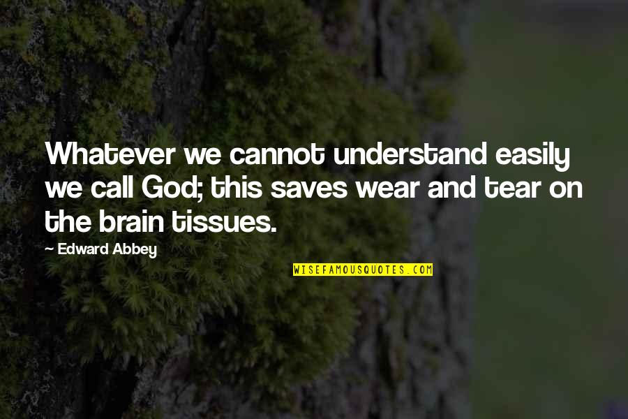 Luonto Couch Quotes By Edward Abbey: Whatever we cannot understand easily we call God; Luonto Couch Quotes By Edward Abbey: Whatever we cannot understand easily we call God;