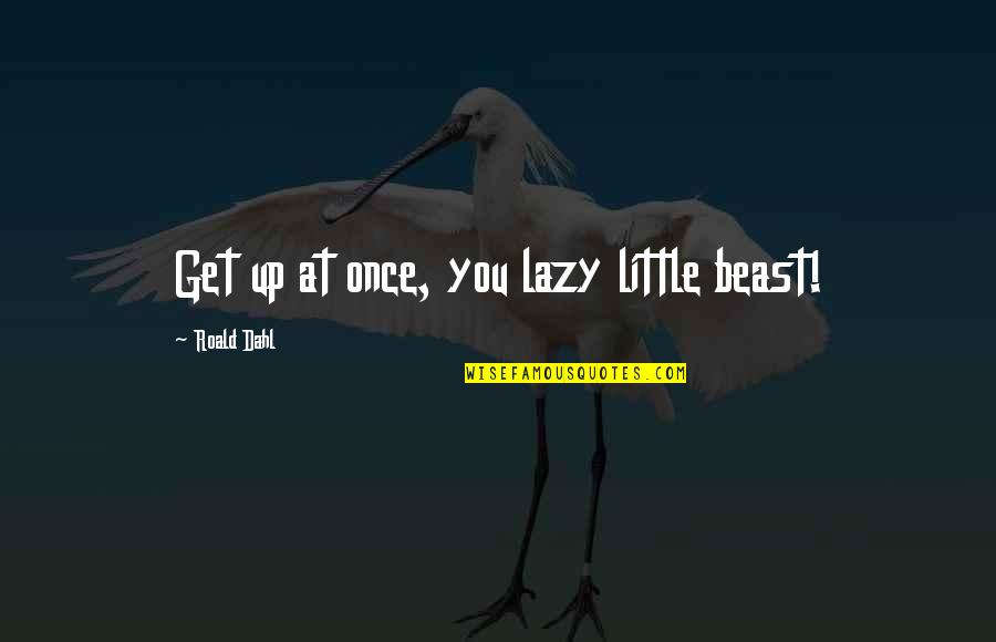 Luqman 13 14 Quotes By Roald Dahl: Get up at once, you lazy little beast!
