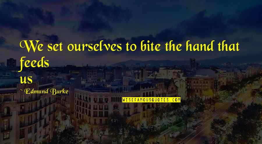 Lured Synonym Quotes By Edmund Burke: We set ourselves to bite the hand that