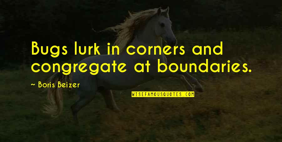 Lurk Quotes By Boris Beizer: Bugs lurk in corners and congregate at boundaries. Lurk Quotes By Boris Beizer: Bugs lurk in corners and congregate at boundaries.